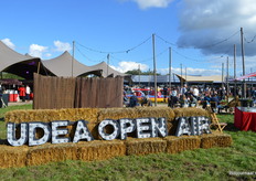 Helemaal in de festivalsfeer.